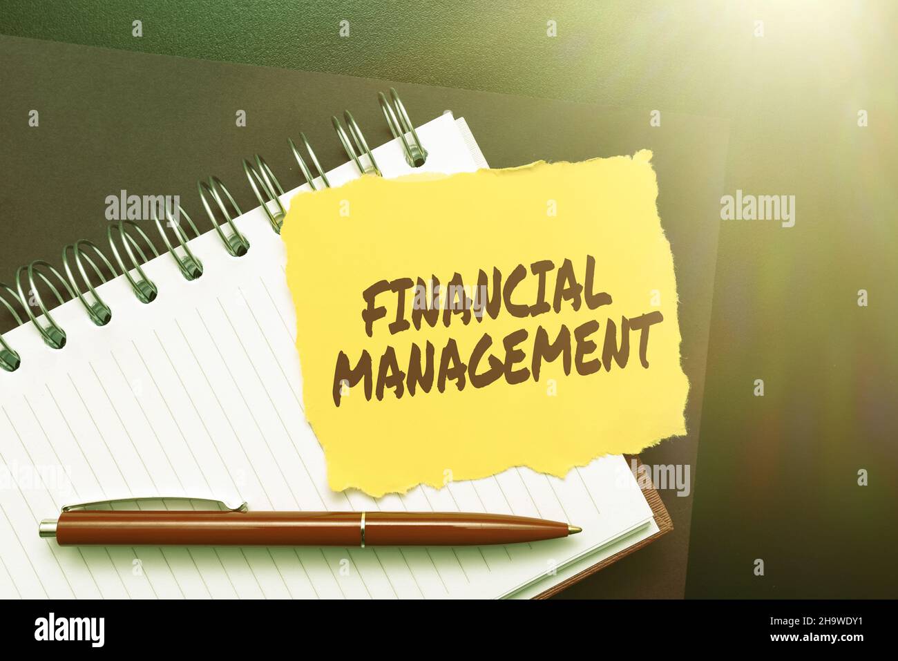 Writing displaying text Financial Management. Internet Concept efficient and effective way to Manage Money and Funds Thinking New Bright Ideas Stock Photo