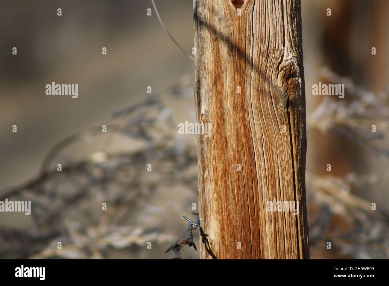 Auburn Fence Post Farming Stock Photo