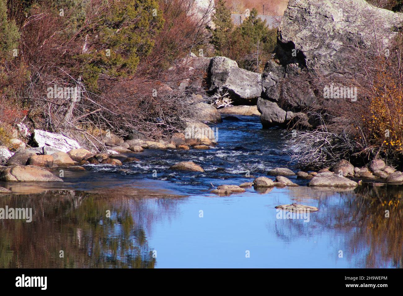 Reflective lake river run with trees Wyoming vacation Stock Photo