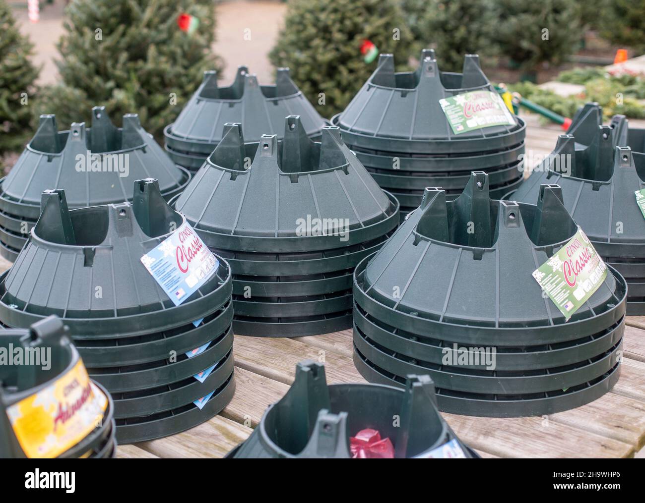 Christmas tree stands on sale at a nursery Stock Photo