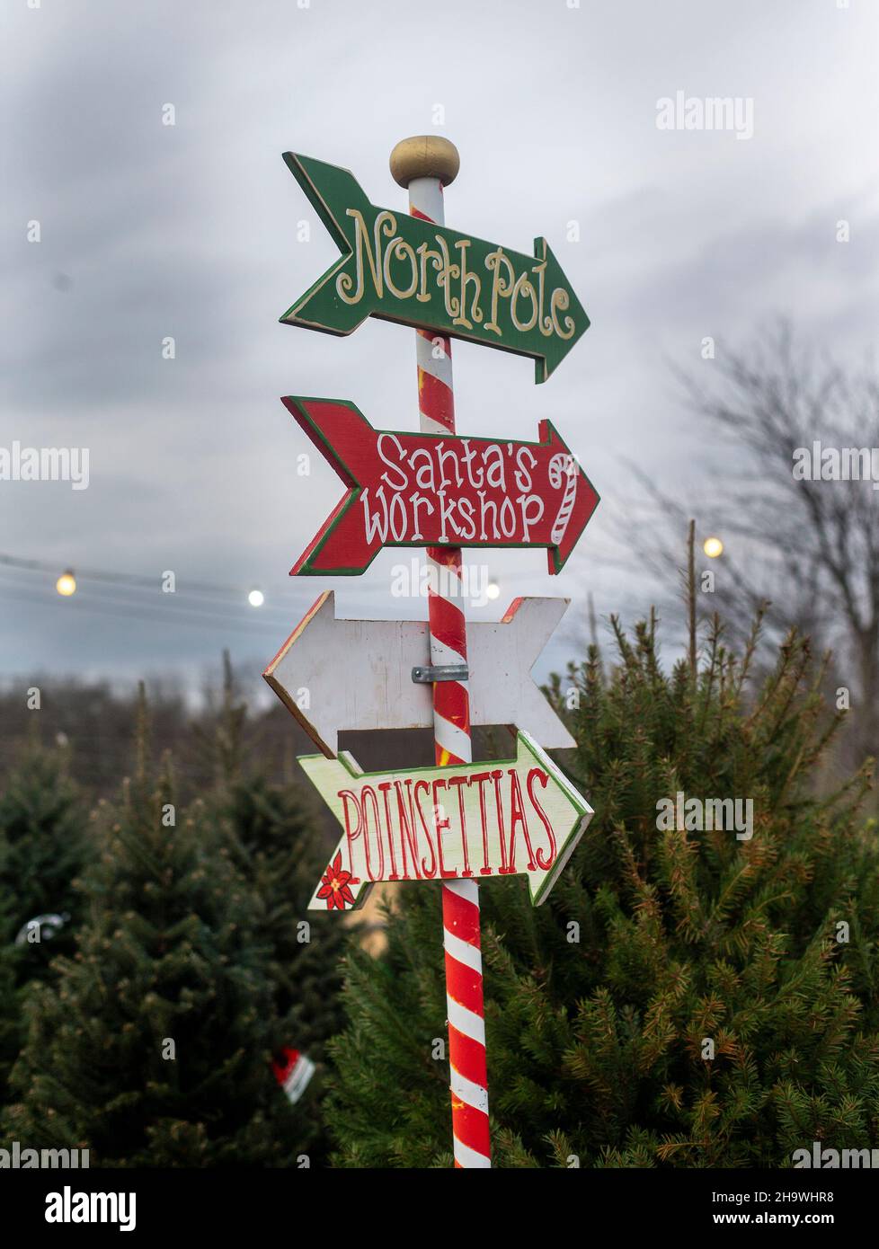 Sign showing directions at a nursery during Christmas Stock Photo