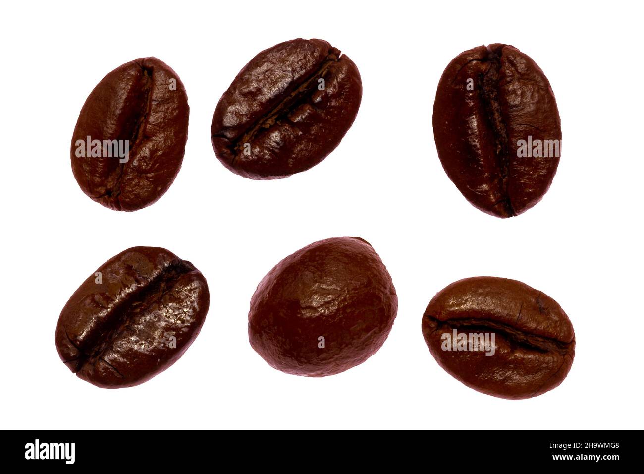 6 coffee beans that have been roasted, fresh brown in color, ready to