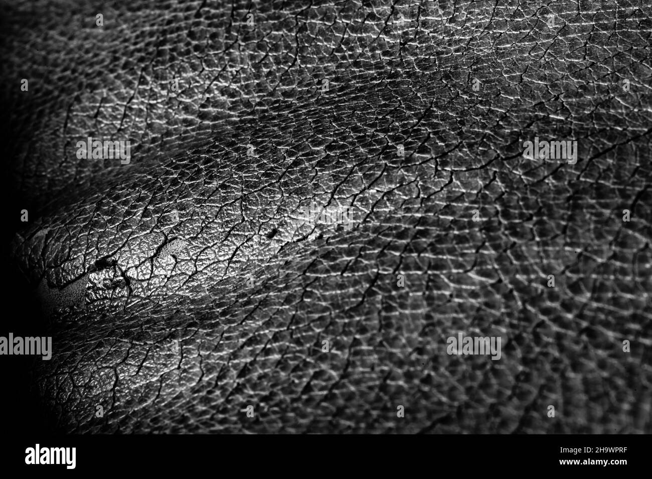 Focus stack macro of cracked faux leather on furniture with visible damage  Stock Photo - Alamy
