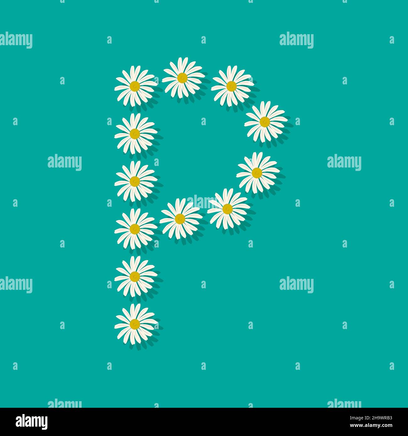Letter P from white chamomile flowers. Festive font or decoration for spring or summer holiday and design. Vector flat illustration Stock Vector