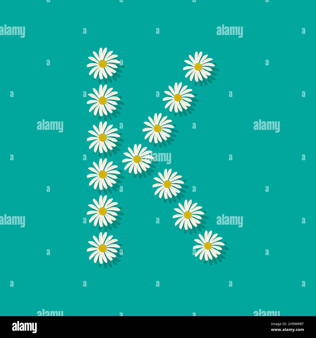 Letter K from white chamomile flowers. Festive font or decoration for spring or summer holiday and design. Vector flat illustration Stock Vector
