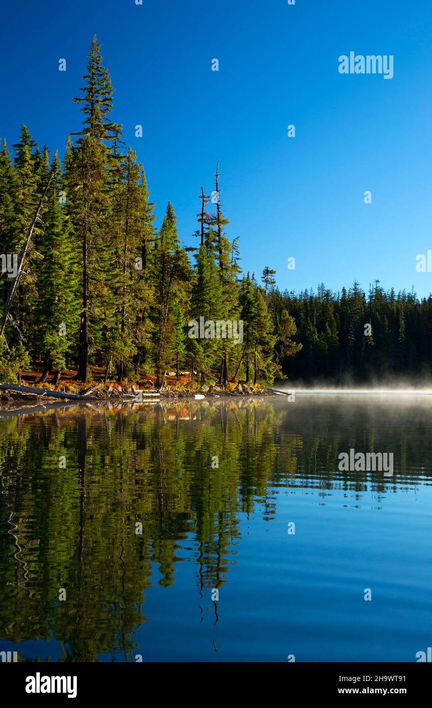 Charlton Lake, Deschutes National Forest, Oregon Stock Photo Alamy