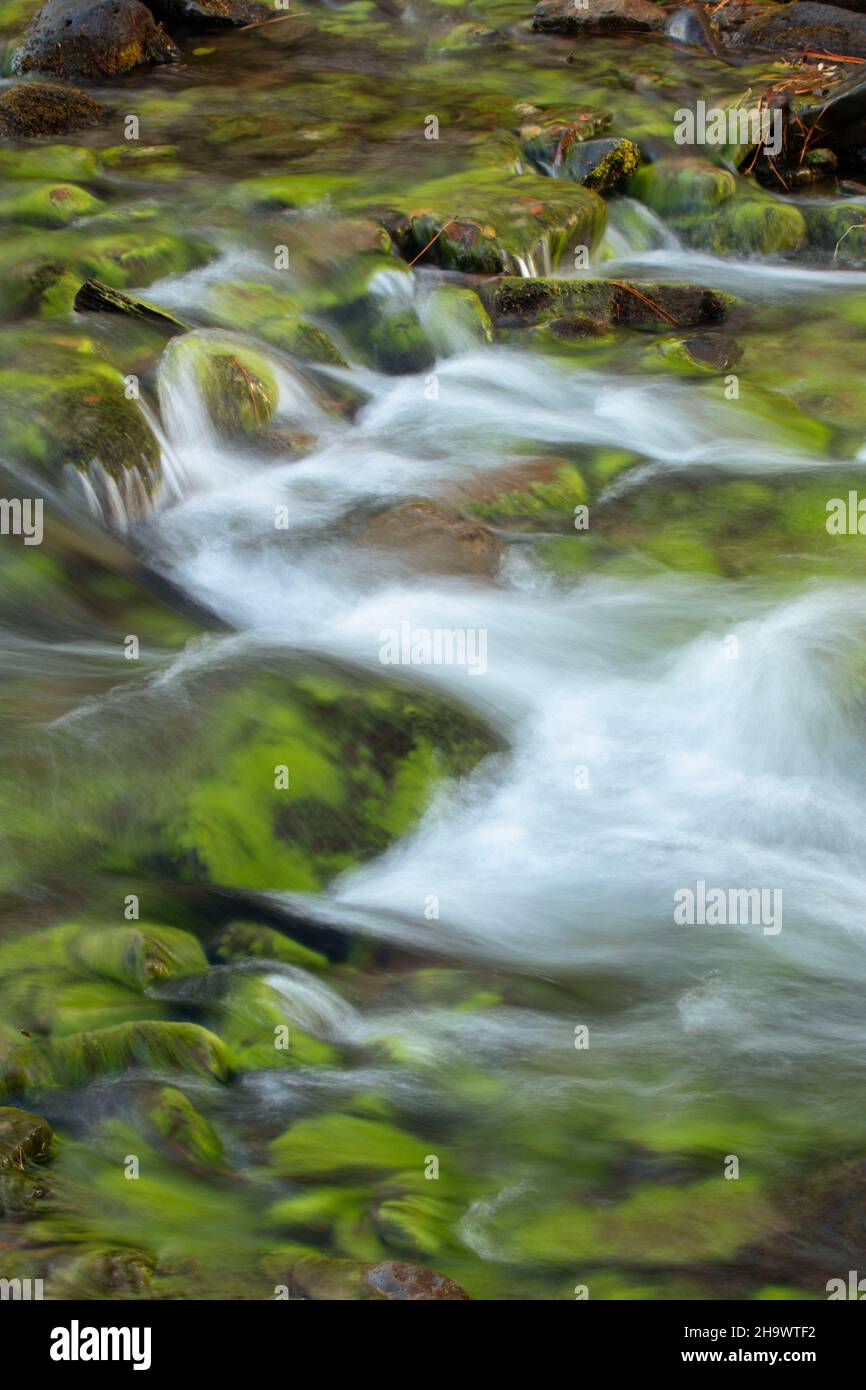 North Fork Tumalo Creek above Tumalo Falls, Deschutes National Forest ...