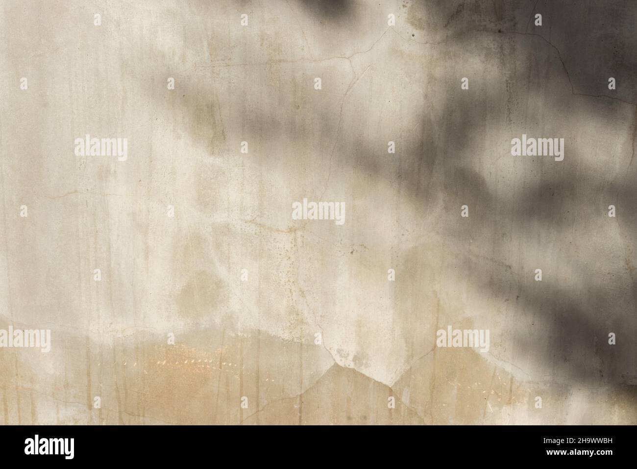 concrete or cement material and leaf shadow on abstract wall background texture. Stock Photo