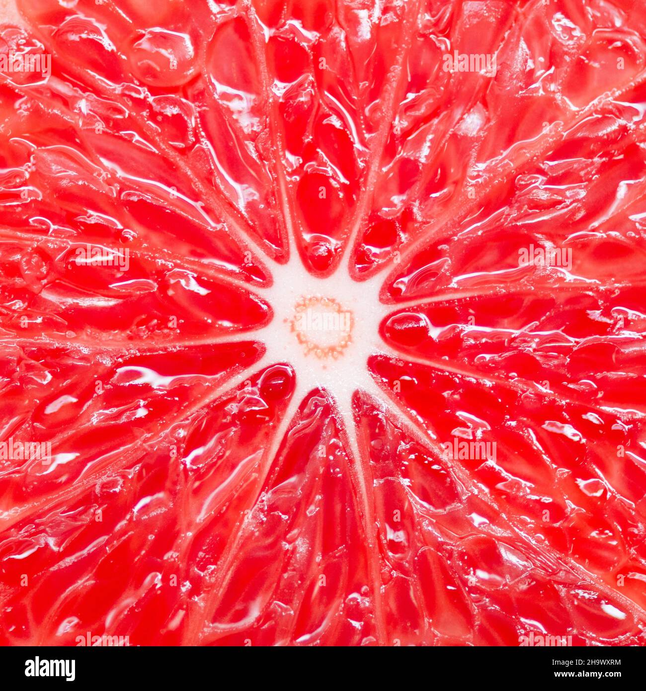 Close-up centered view of red grapefruit. Macro photography. Stock Photo