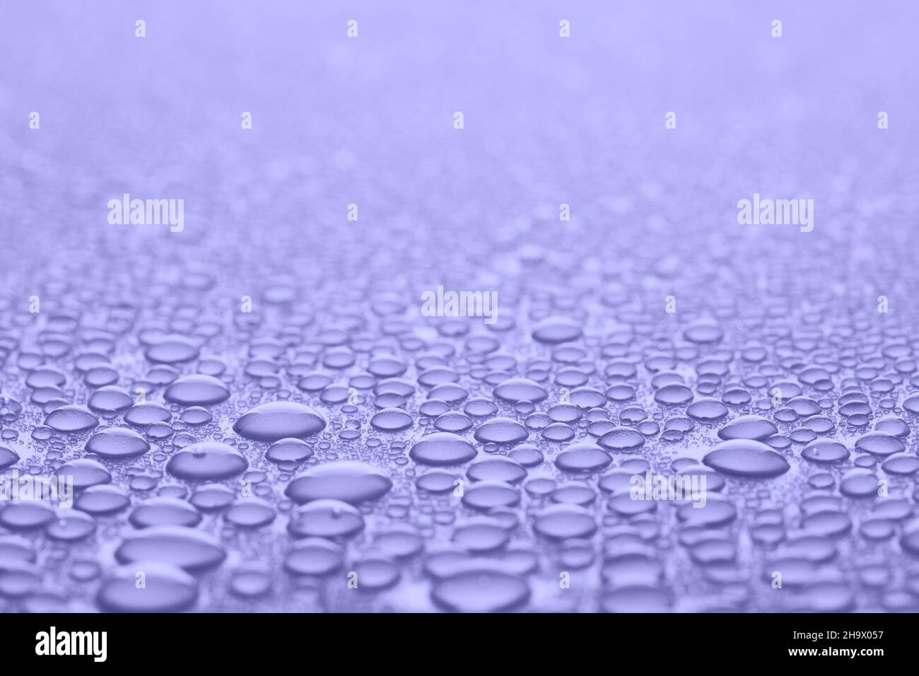 Water drops in Very peri color of the Year 2020. Violet abstract ...