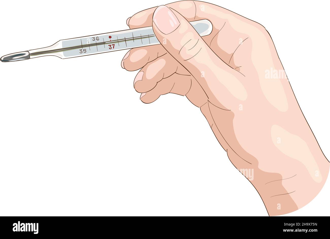 The hand holds a thermometer. Vector illustration. Stock Vector