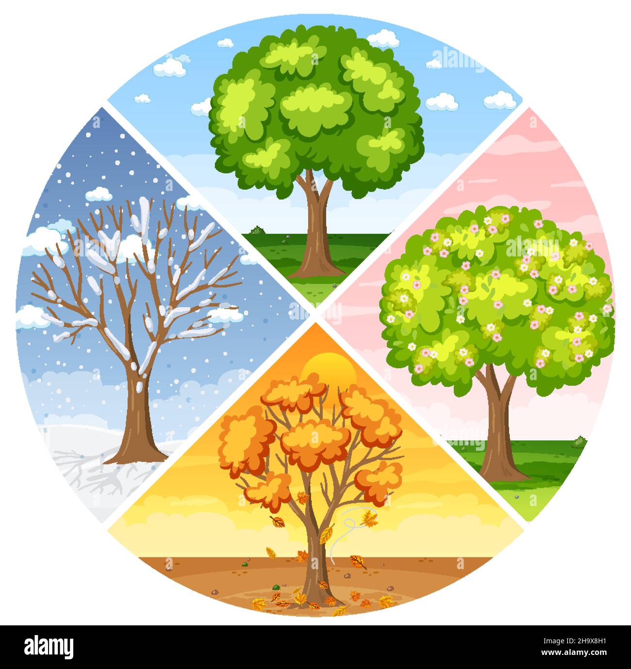 Set of four seasons backgrounds illustration Stock Vector Image & Art -  Alamy