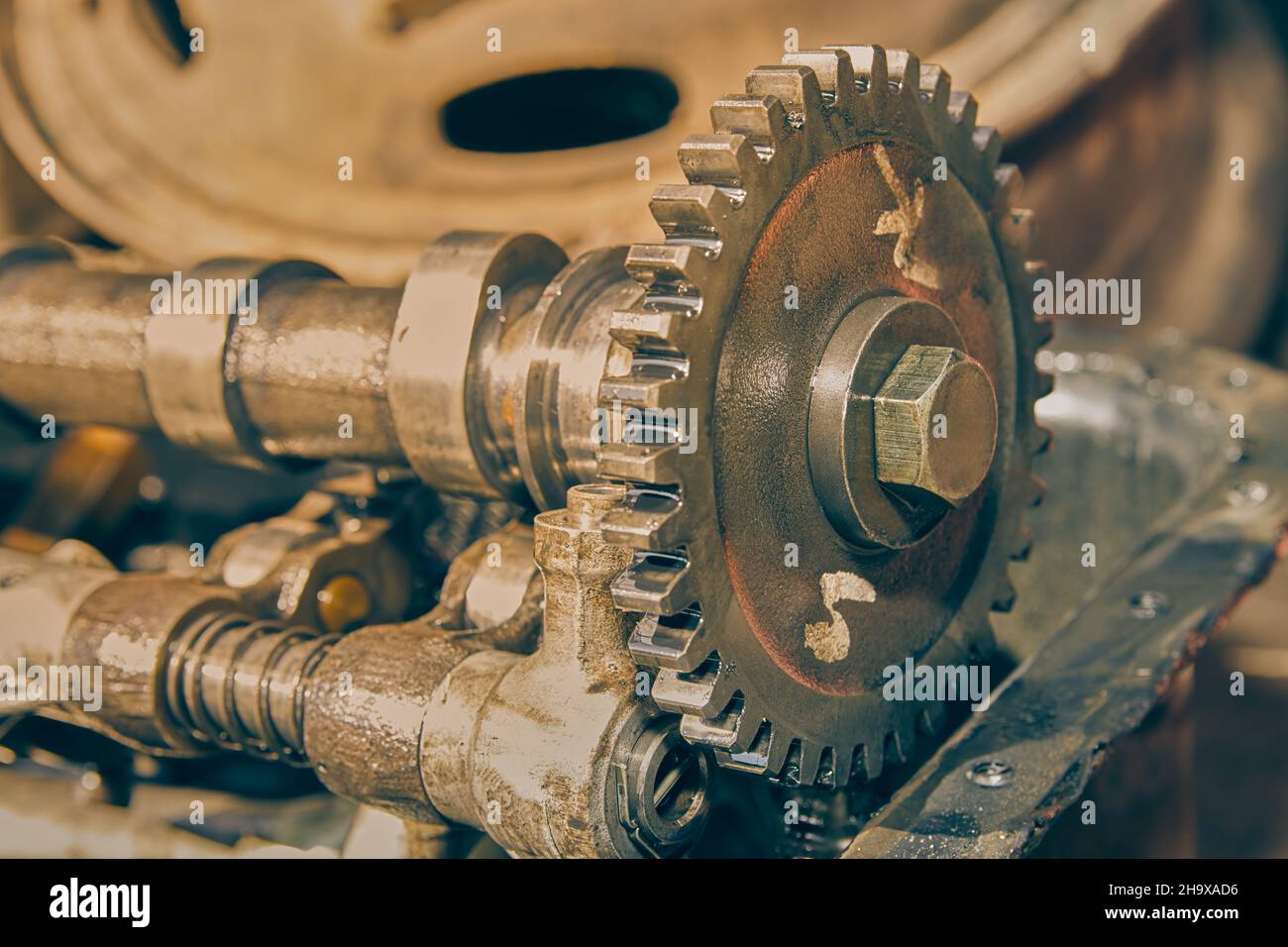 Right Frame Camshaft Sprocket and Overhead Camshaft and Rocker Arm of