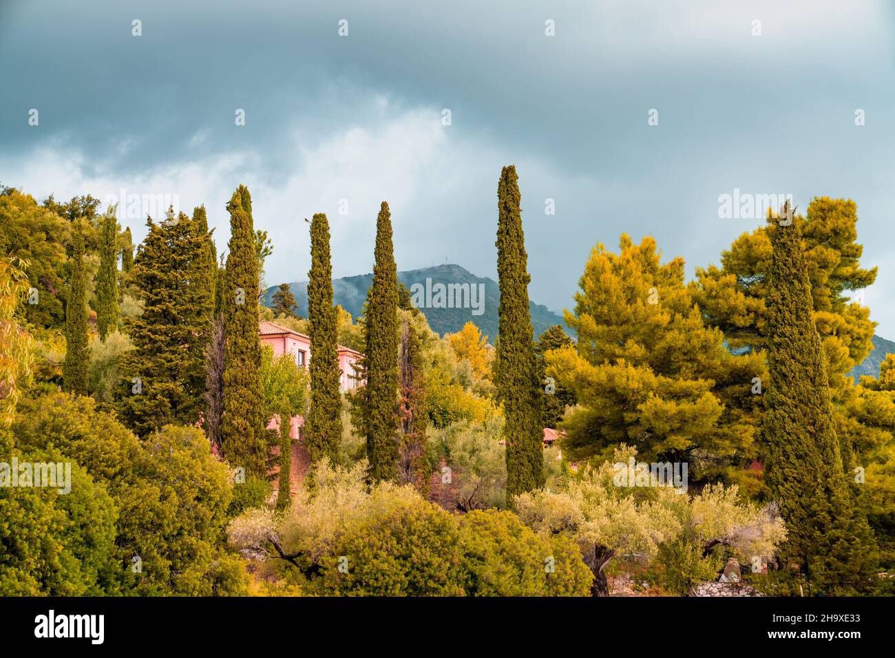 Nature, Lefkada, a Greek island in the Ionian Sea Stock Photo Alamy
