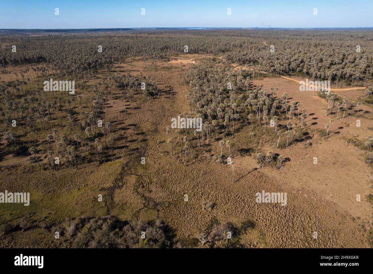 Aerial view of el palmar national park, located in Entre Rios. Argentina Stock Photo