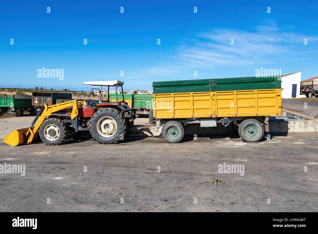Tractor with trailer to transport the olive harvest to the olive oil factory Stock Photo