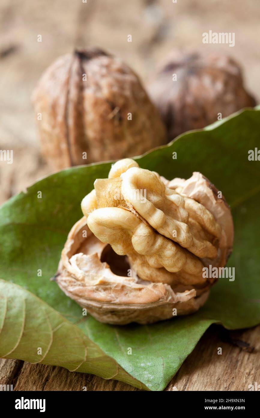 Walnut in a walnut half Stock Photo Alamy