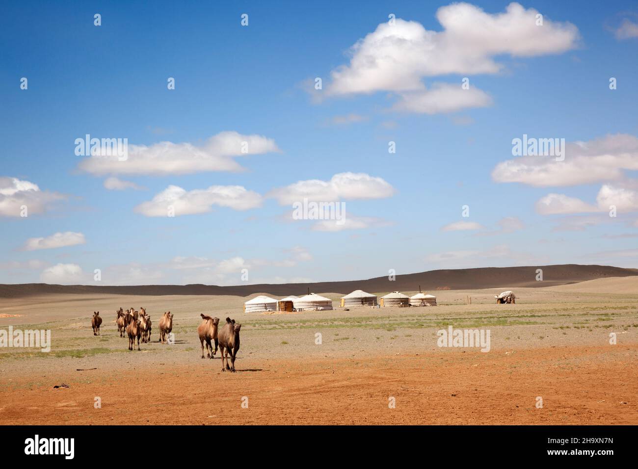 Gobi desert. Mongolia Stock Photo - Alamy