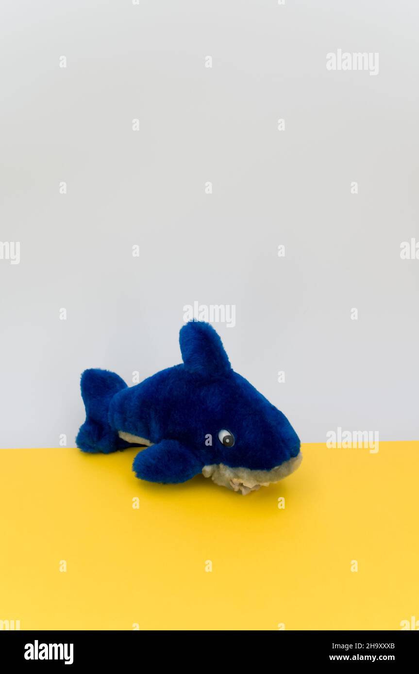 Stuffed shark hi res stock photography and images Alamy