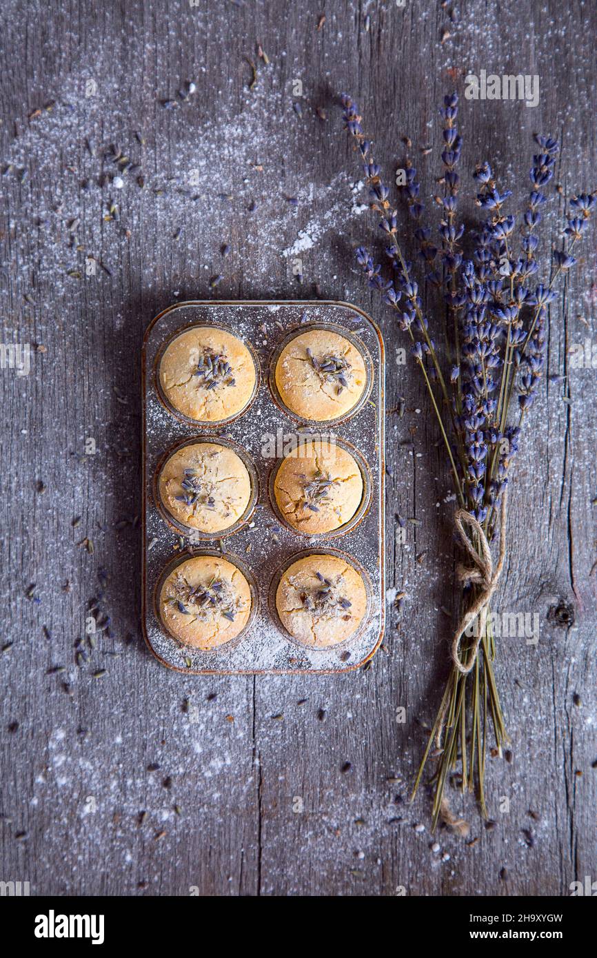 Lavender Shortbread Cookies on an old wooden table. Stock Photo