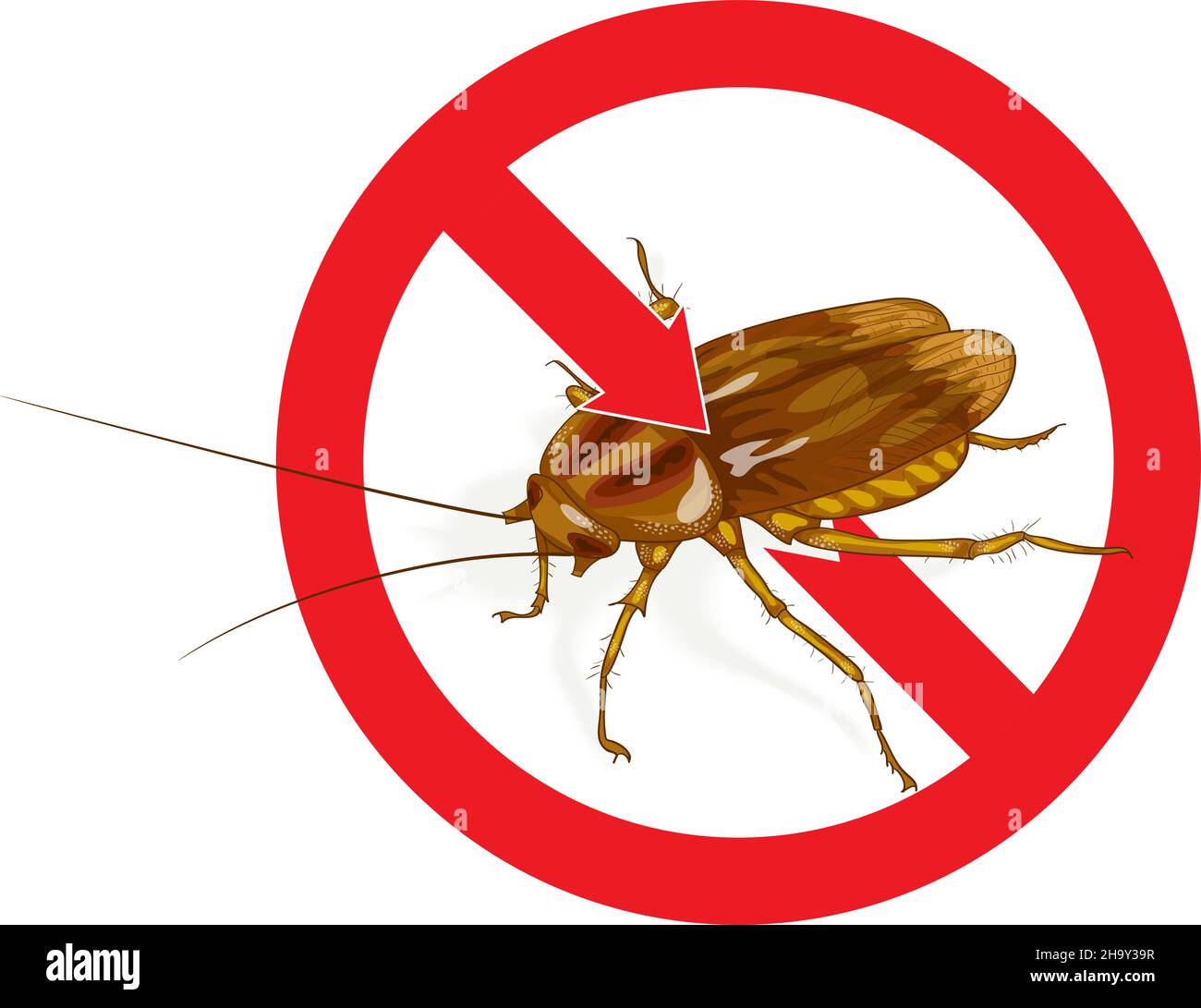 Stop Cockroach sign. Vector illustration. Stock Vector