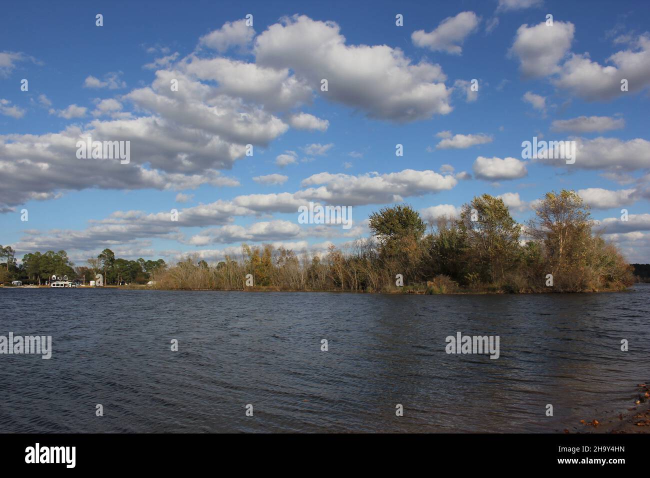 Lake Tyler near Whitehouse TX with Blue Sky and Fluffy Cumulus Clouds