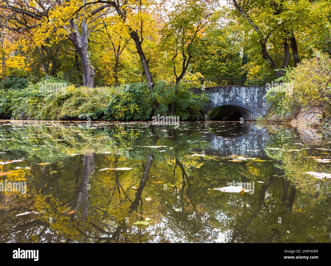 Mesmerizing view of a calm lake surrounded by trees Stock Photo - Alamy