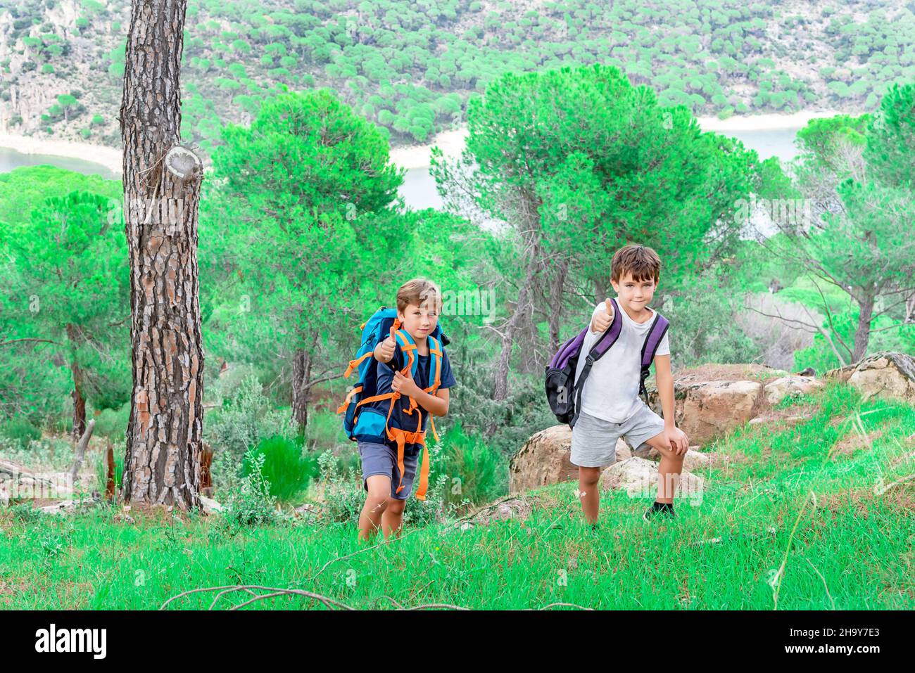 Two hiking kids hiking in the bush with their backpacks looking at camera and giving thumbs up. Boy scouts hiking in the woods Stock Photo