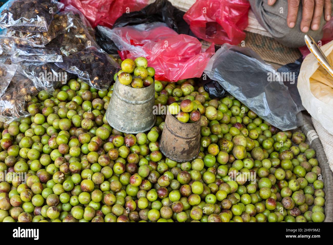 Nepali hop plumb choerospondias axillaris hires stock photography and