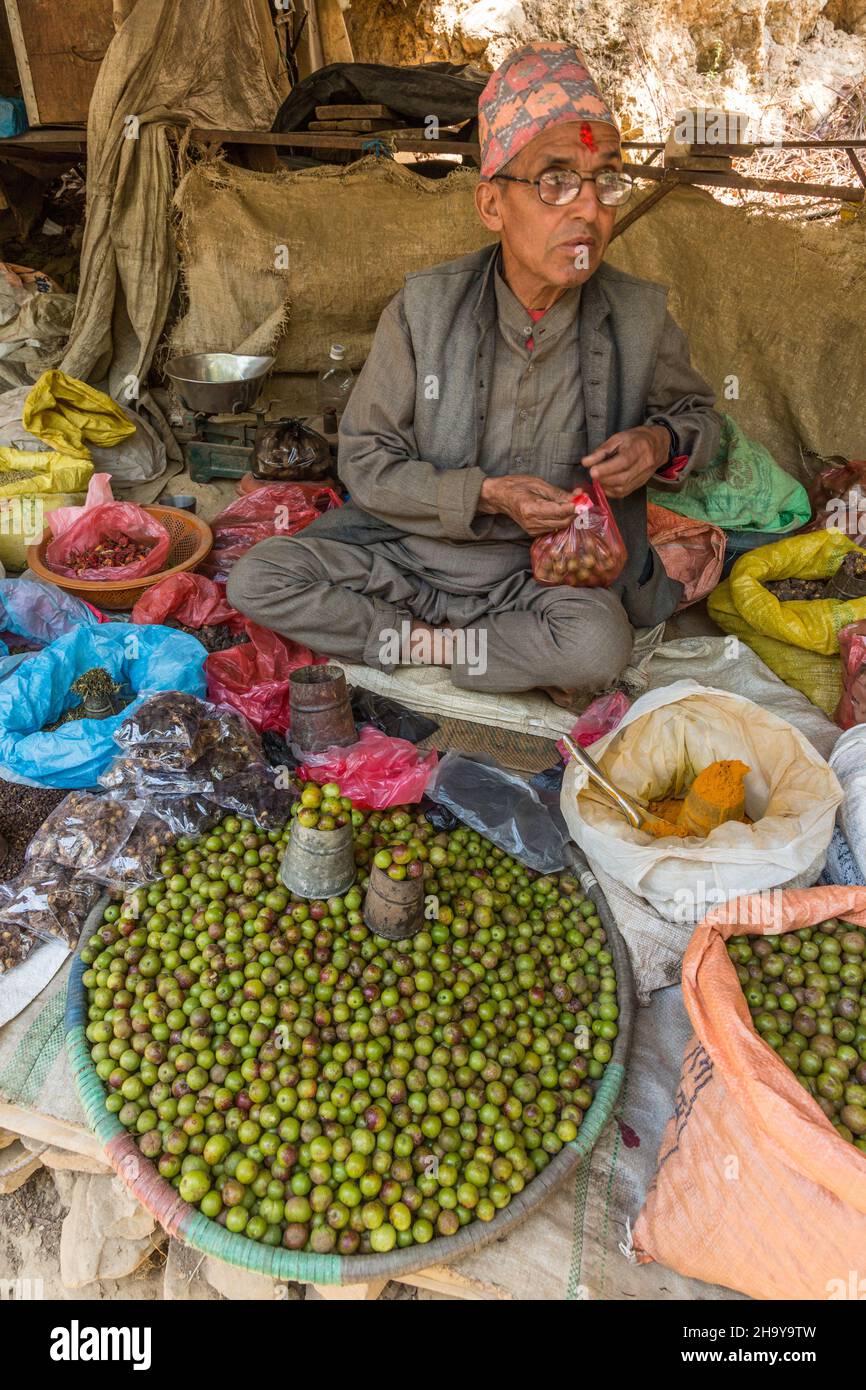 Nepali hop plumb choerospondias axillaris hires stock photography and