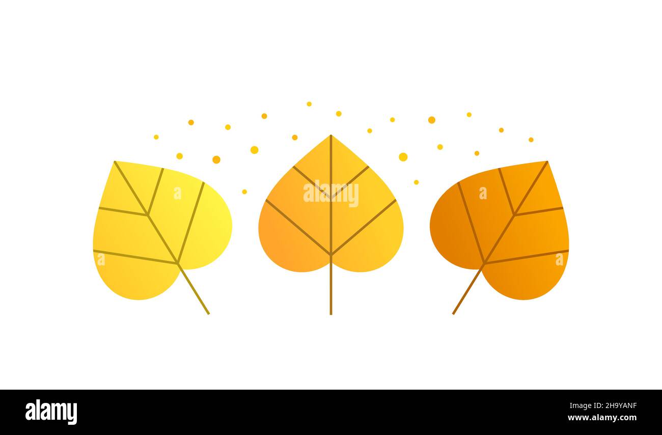 Autumn leaves isolated on white background. Fall season vector ...