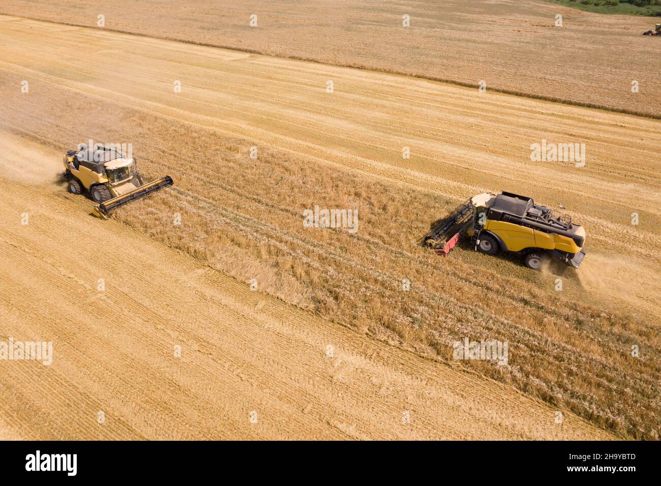 Aerial view of combine harvesters harvesting large yellow ripe wheat ...