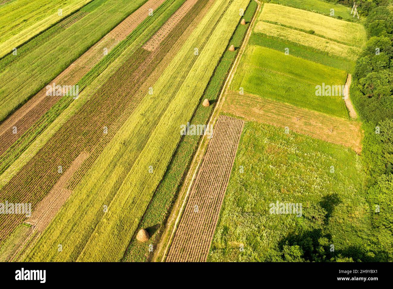 Aerial view of green agricultural fields in spring with fresh ...