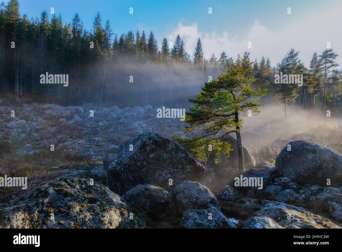 Fog flares hi-res stock photography and images - Alamy