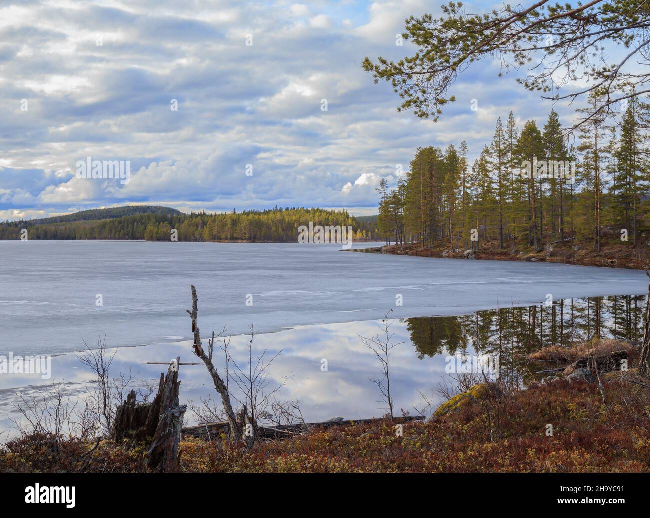 lake with ice in a forest during early spring Stock Photo
