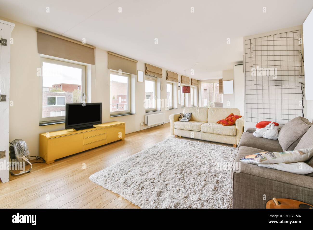 Lovely living room with milky and gray sofas and shaggy carpet Stock Photo