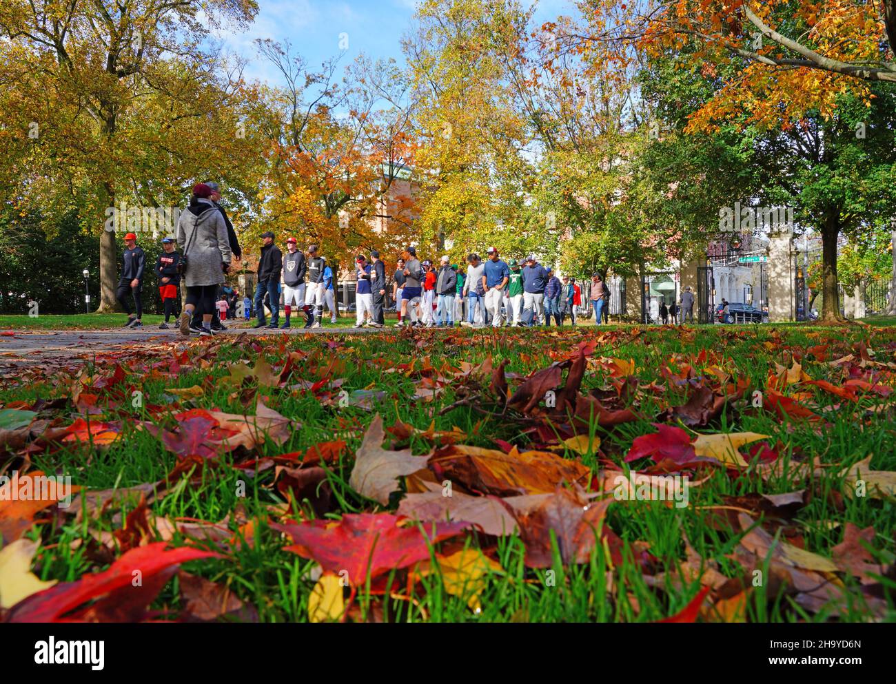 PRINCETON, NJ 31 OCT 2021 Colorful autumn foliage on the campus of