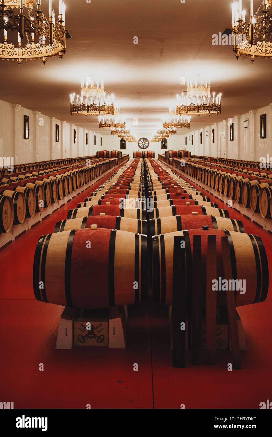 Wine barrels in a cellar, Bordeaux, France Stock Photo