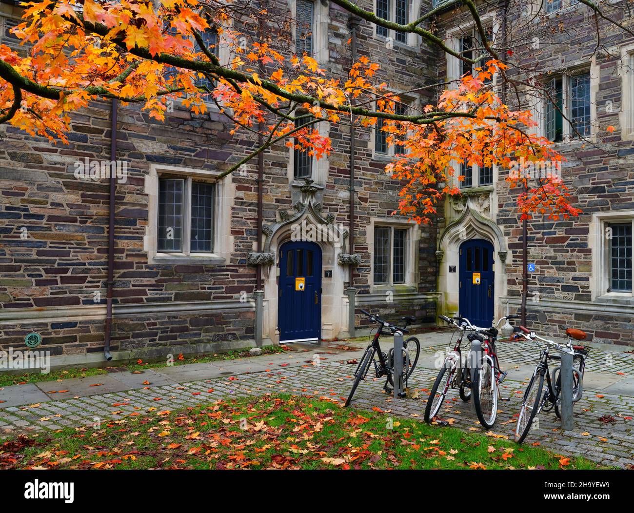 PRINCETON, NJ 31 OCT 2021 Colorful autumn foliage on the campus of