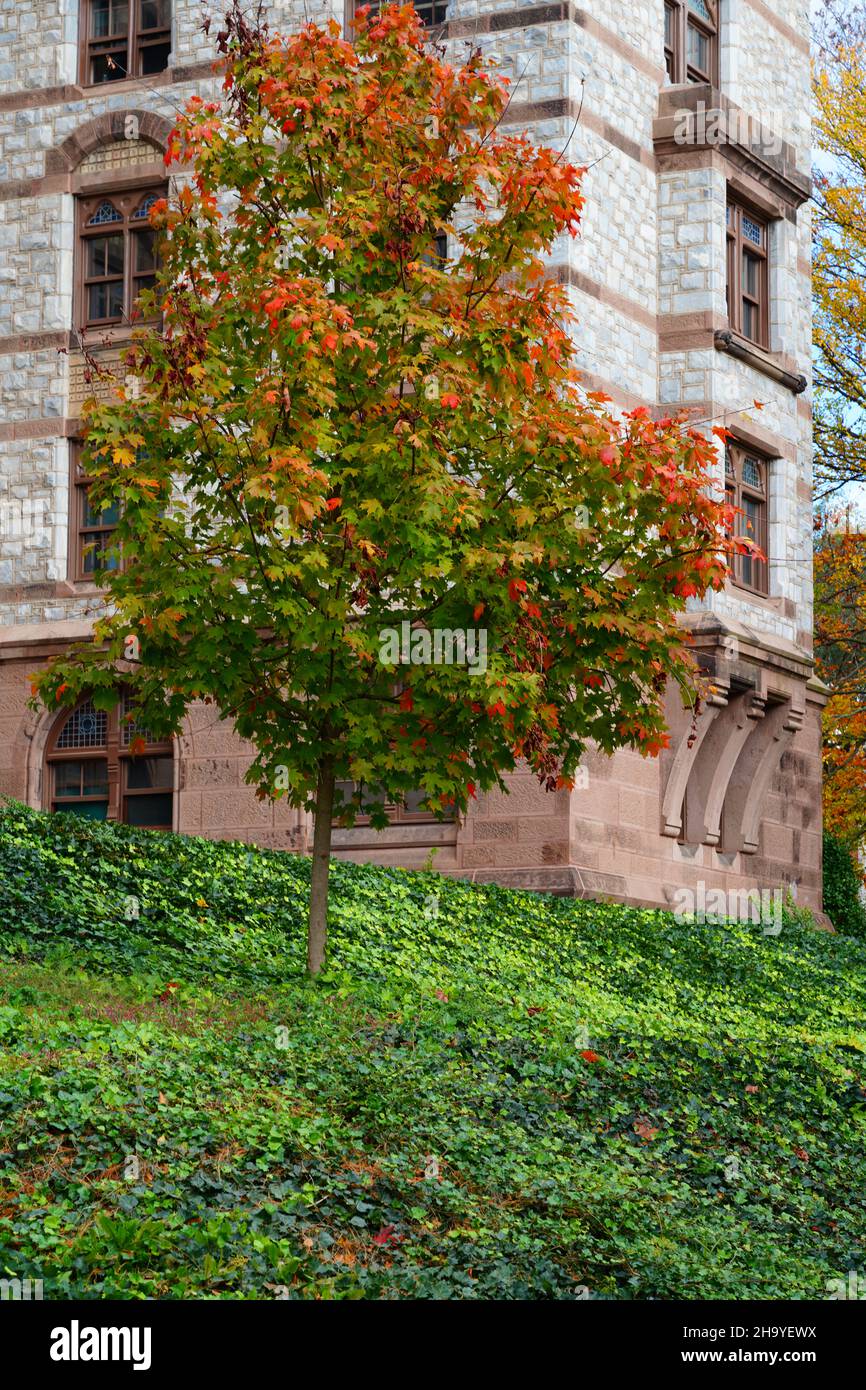 Princeton academia hires stock photography and images Alamy
