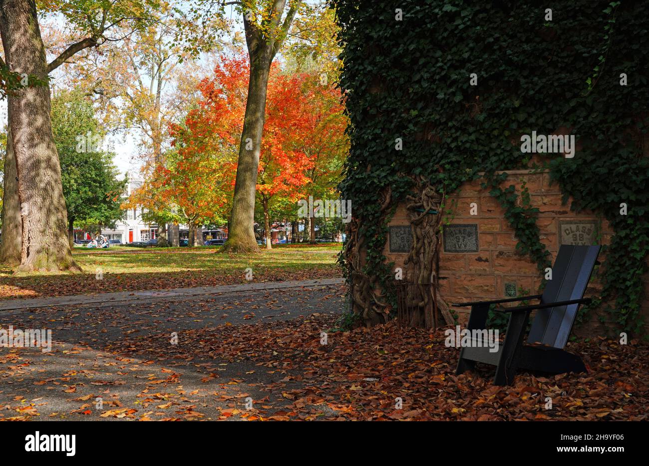 PRINCETON, NJ 31 OCT 2021 Colorful autumn foliage on the campus of