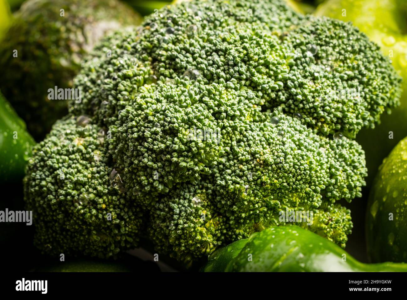 Fresh green raw broccoli ready for cooking Stock Photo