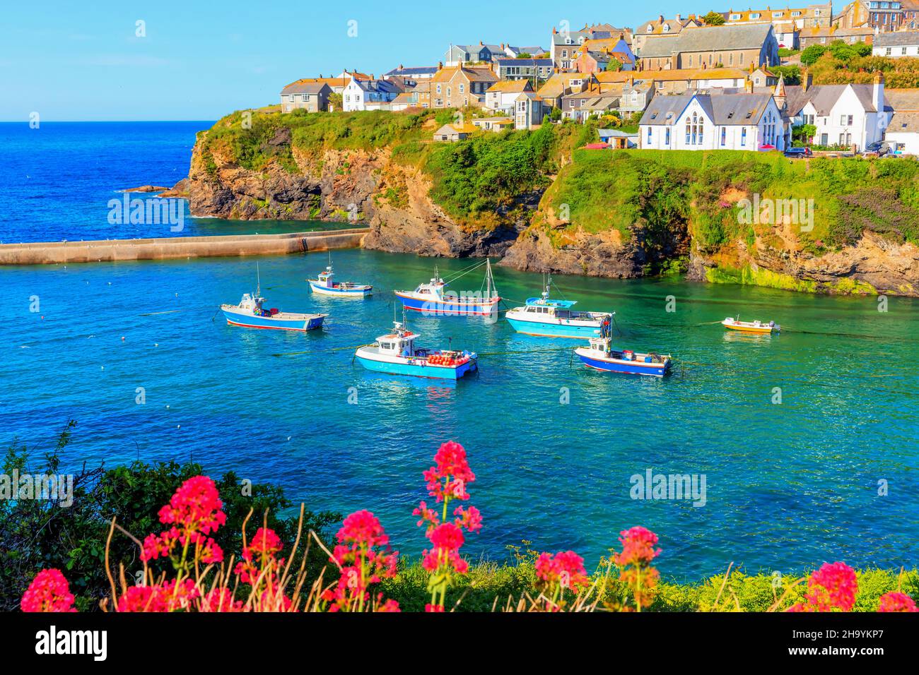Port Isaac Cornwall boats and pink flowers England UK with blue sea Stock Photo