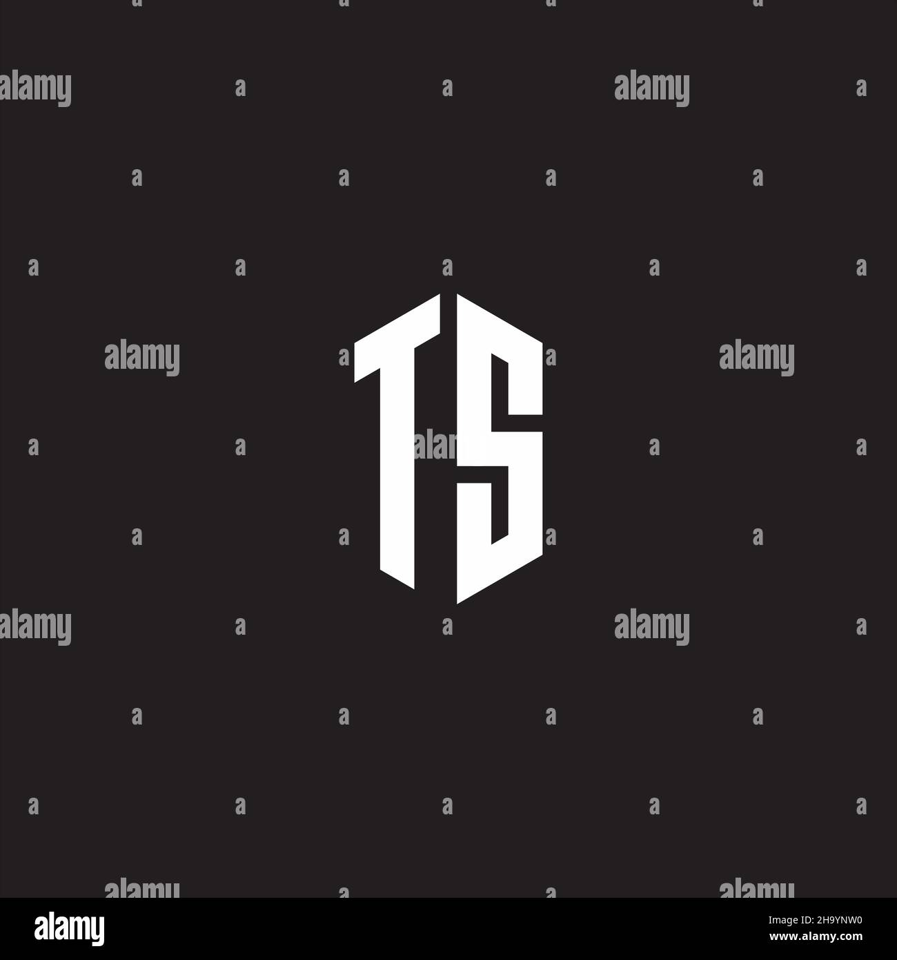 TS Logo monogram with hexagon shape style design template isolated on ...