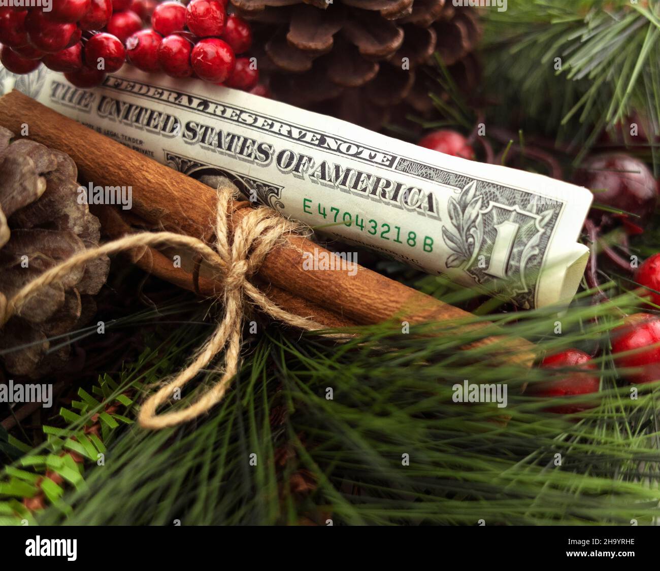 Isolated one dollar bill with Christmas tree branches, red berries