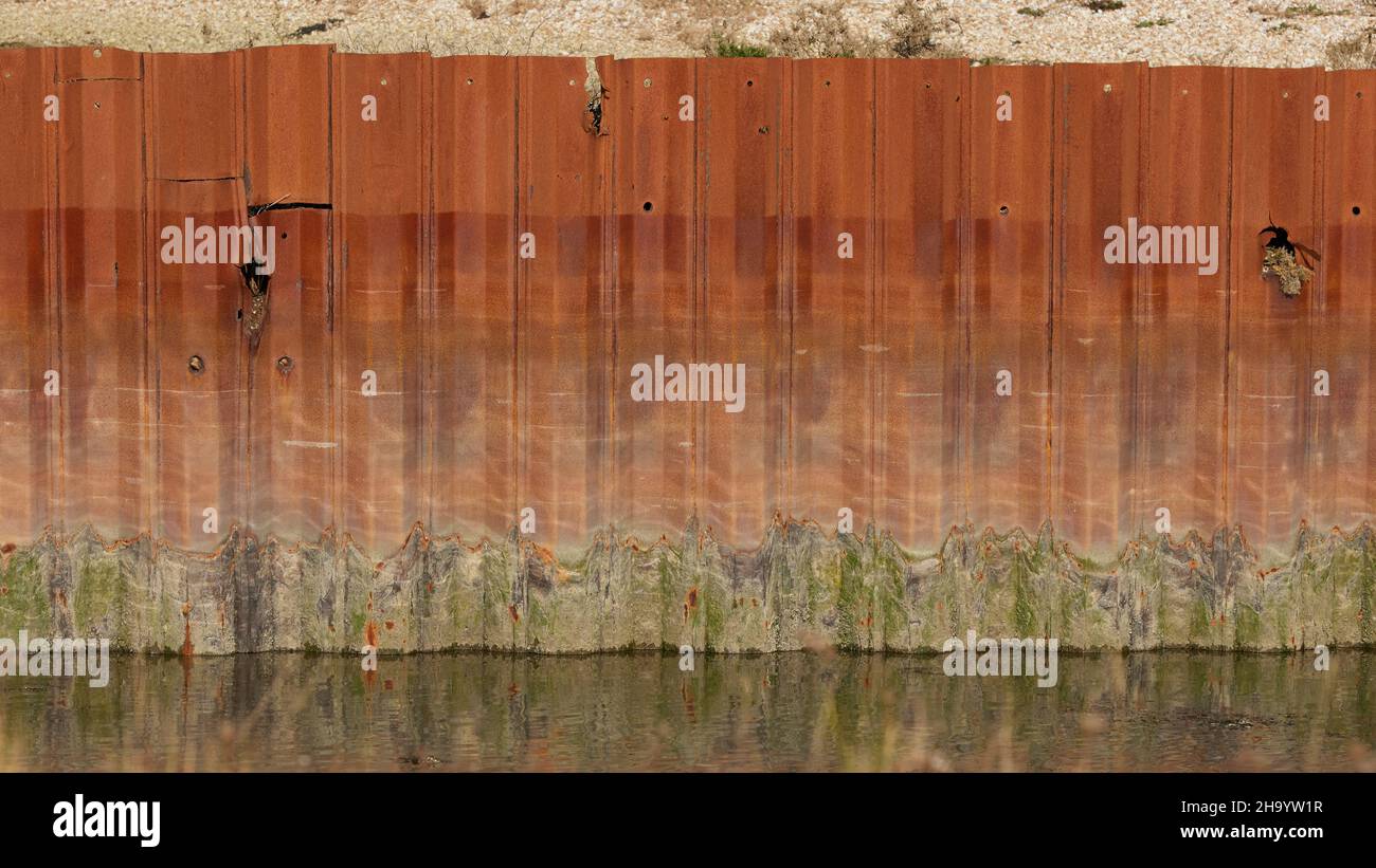 Remnants of an old rusted metal structure seen in Pagham Harbour. Stock Photo