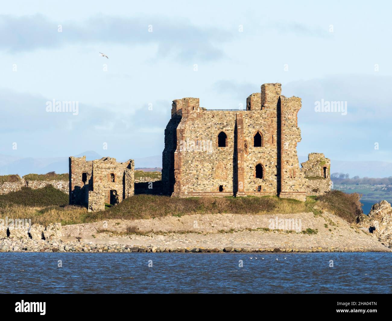 Piel castle on Piel Island from Walney Island, Cumbria, UK Stock Photo Alamy