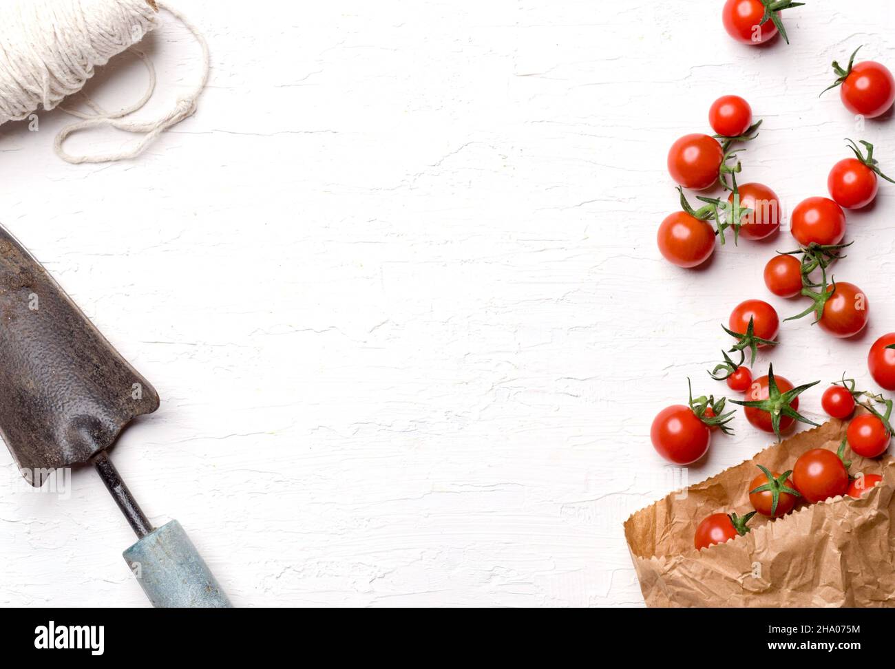 Closeup shot of a bunch of cherry tomatoes isolated on a white ...