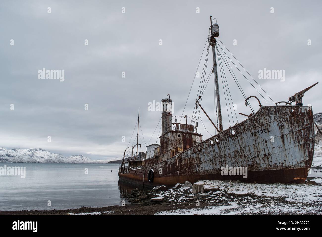 The ruined ship 'Petrel' beached at Grytviken, South Georgia Stock Photo