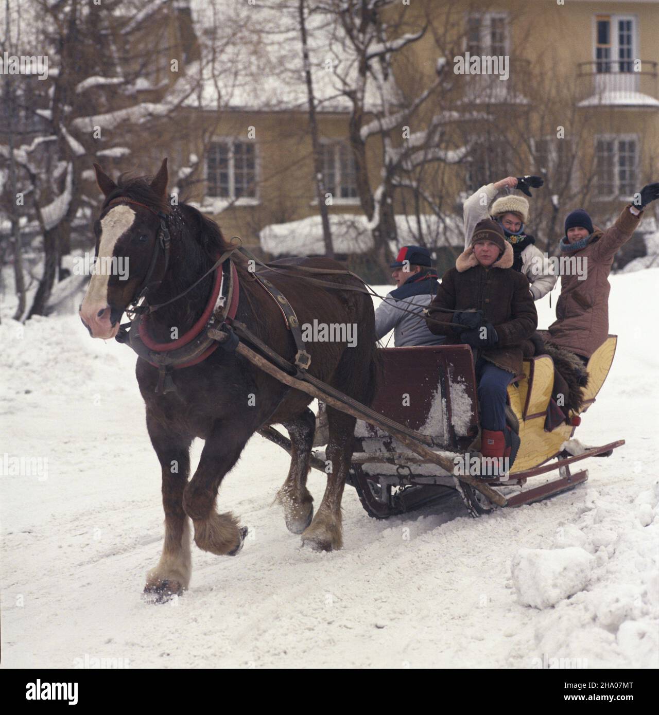 Zakopane 02.1987. Kulig - atrakcja dla dzieci i turystów. ka  PAP/Jan Morek    Dok³adny dzieñ wydarzenia nieustalony.         Zakopane, February 1987. A sleigh ride - an attraction for children and tourists.  ka  PAP/Jan Morek    Event day unknown Stock Photo